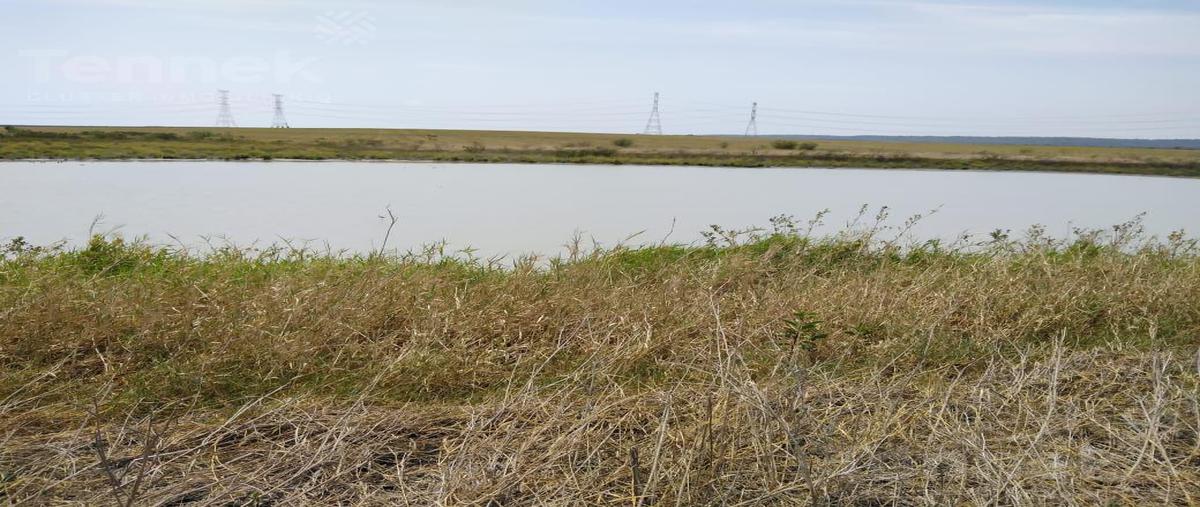 Foto de terreno habitacional en venta en  , altamira, altamira, tamaulipas, 21087877 No. 03