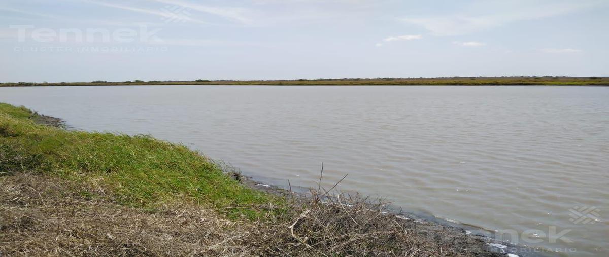 Foto de terreno habitacional en venta en  , altamira, altamira, tamaulipas, 21087877 No. 04