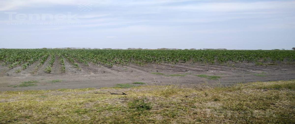 Foto de terreno habitacional en venta en  , altamira, altamira, tamaulipas, 21087877 No. 05