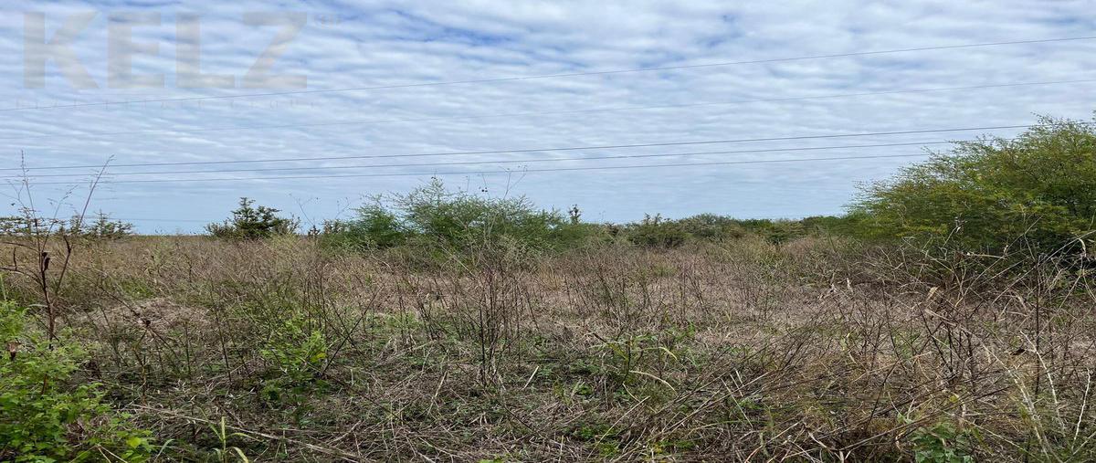 Foto de terreno habitacional en venta en  , altamira, altamira, tamaulipas, 26096550 No. 03