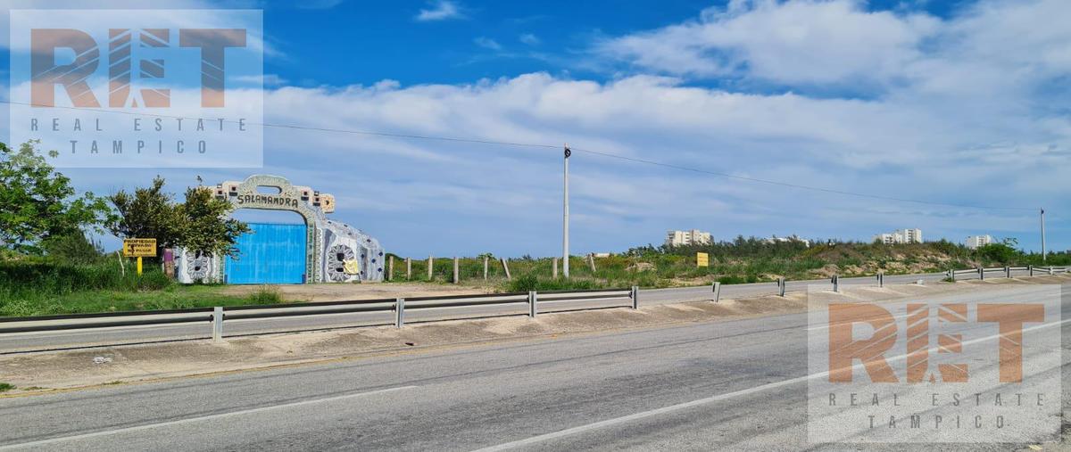 Foto de terreno habitacional en venta en  , altamira, altamira, tamaulipas, 26837421 No. 04