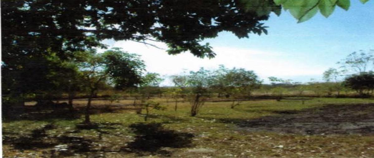 Foto de terreno habitacional en venta en  , altamira, altamira, tamaulipas, 0 No. 04