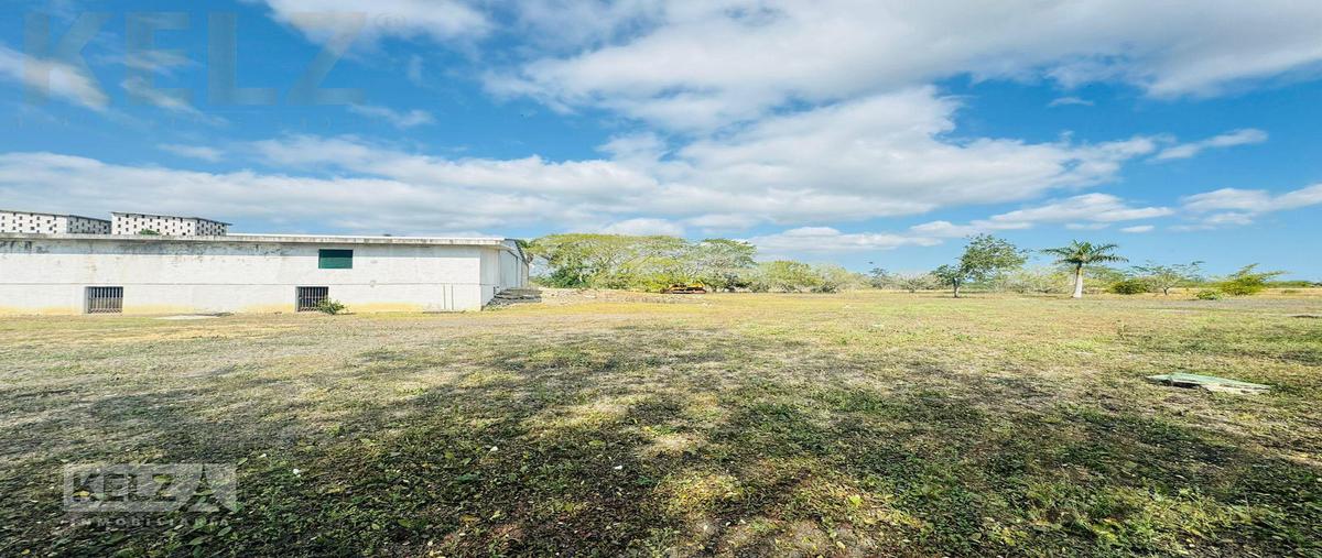 Foto de terreno habitacional en renta en  , altamira, altamira, tamaulipas, 0 No. 04