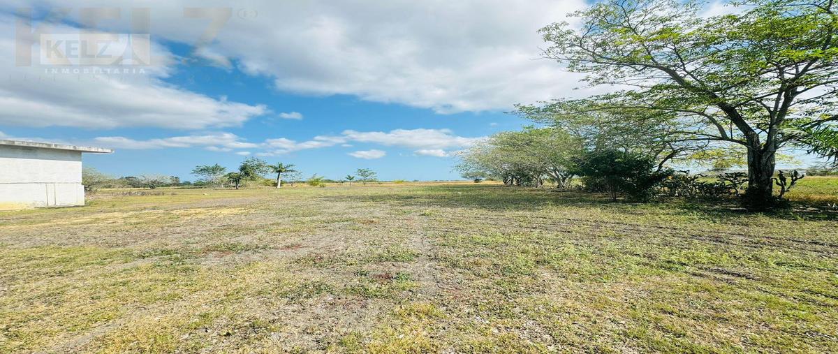 Foto de terreno habitacional en renta en  , altamira, altamira, tamaulipas, 27571458 No. 05