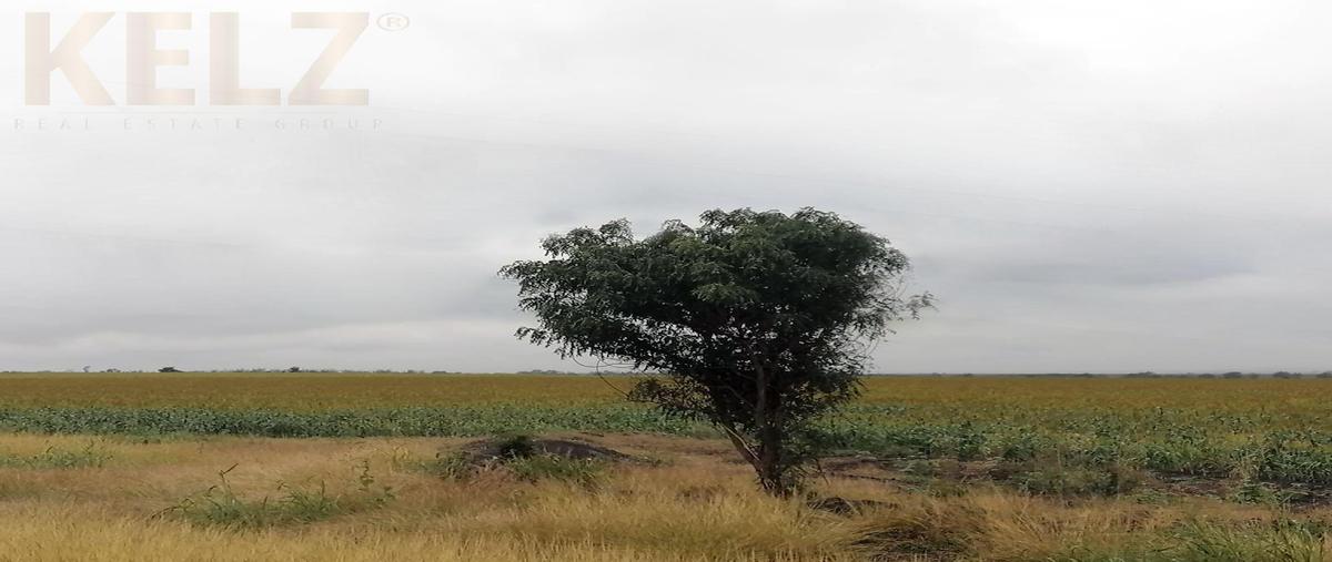 Foto de terreno habitacional en venta en  , altamira, altamira, tamaulipas, 0 No. 04