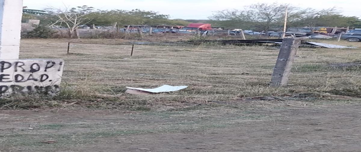 Foto de terreno habitacional en venta en  , altamira, altamira, tamaulipas, 28117197 No. 05