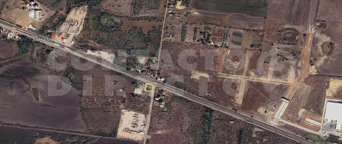 Foto de terreno habitacional en renta en  , altamira, altamira, tamaulipas, 0 No. 03