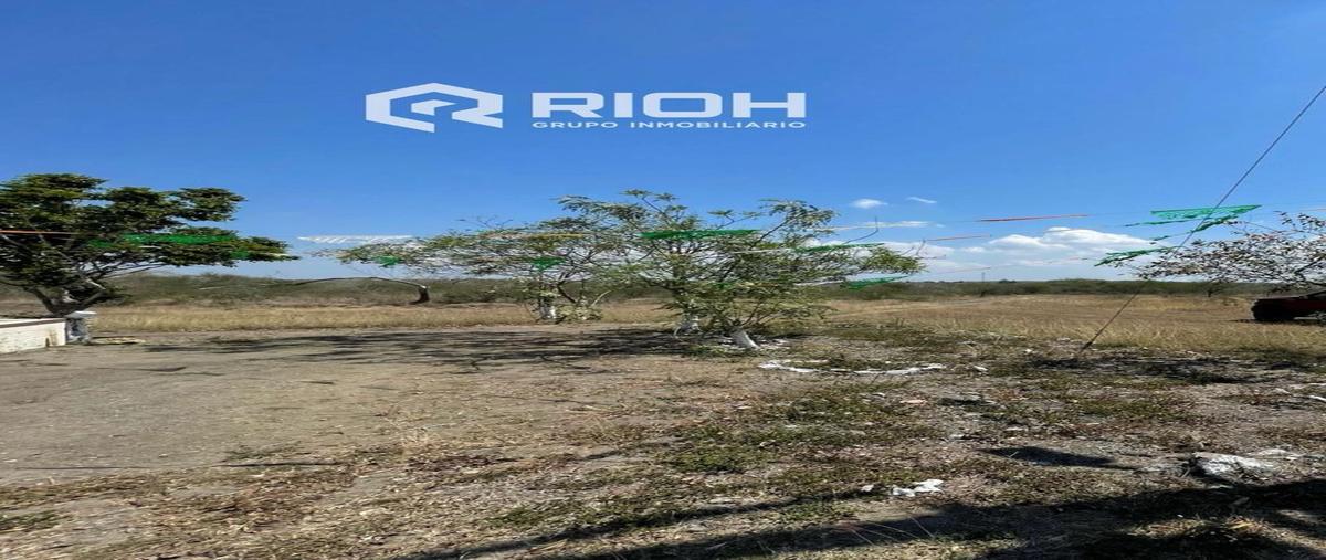 Foto de terreno habitacional en renta en  , altamira, altamira, tamaulipas, 29827510 No. 03