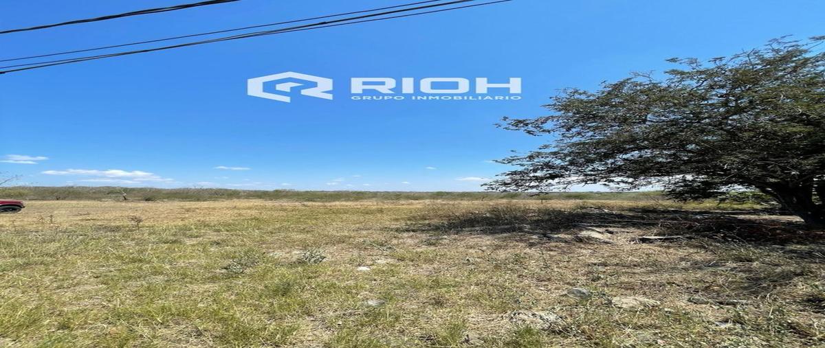 Foto de terreno habitacional en renta en  , altamira, altamira, tamaulipas, 29827510 No. 04