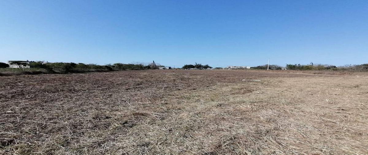Foto de terreno habitacional en venta en  , altamira, altamira, tamaulipas, 30124557 No. 04
