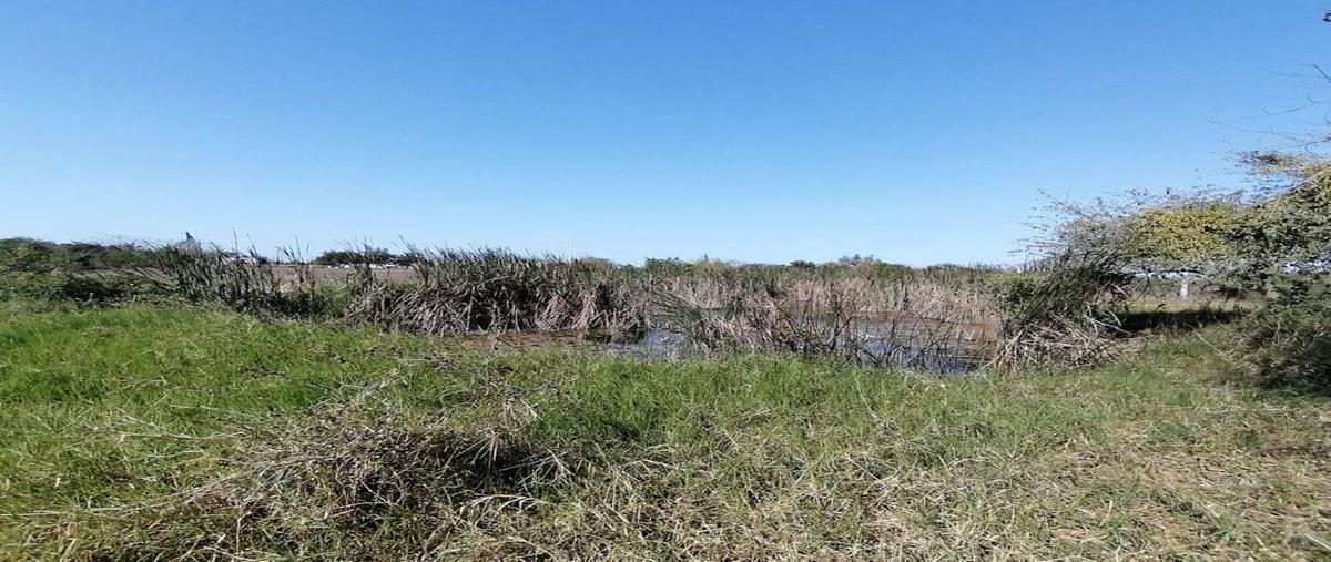 Foto de terreno habitacional en venta en  , altamira, altamira, tamaulipas, 30124557 No. 05