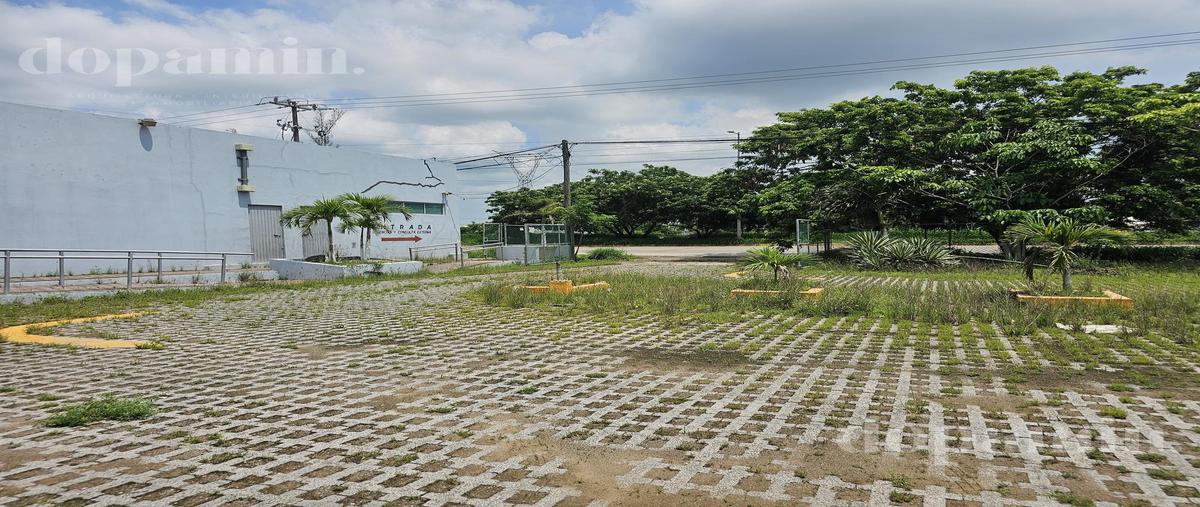 Foto de terreno comercial en venta en  , altamira, altamira, tamaulipas, 30231293 No. 05