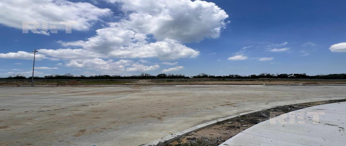 Foto de terreno habitacional en venta en  , altamira, altamira, tamaulipas, 30242353 No. 04