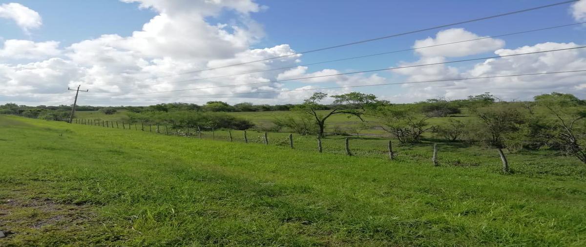 Foto de terreno habitacional en , altamira, altamira, tamaulipas, 30297778 foto 01 Foto de terreno habitacional en venta en , altamira, altamira, tamaulipas, 30297778 No. 01