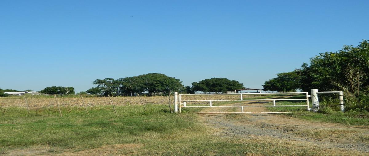 Foto de terreno habitacional en venta en  , altamira, altamira, tamaulipas, 0 No. 04