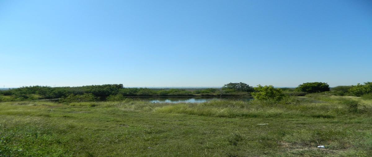 Foto de terreno habitacional en venta en  , altamira, altamira, tamaulipas, 0 No. 05