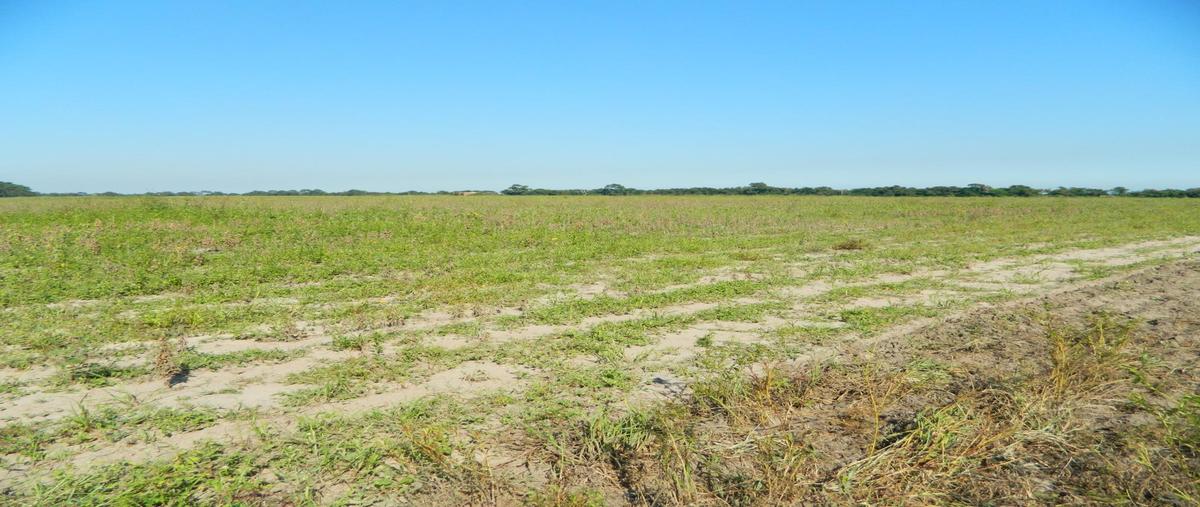 Foto de terreno habitacional en renta en  , altamira, altamira, tamaulipas, 0 No. 03