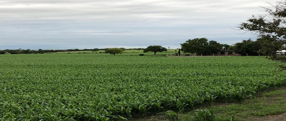 Foto de terreno habitacional en venta en  , altamira, altamira, tamaulipas, 0 No. 04