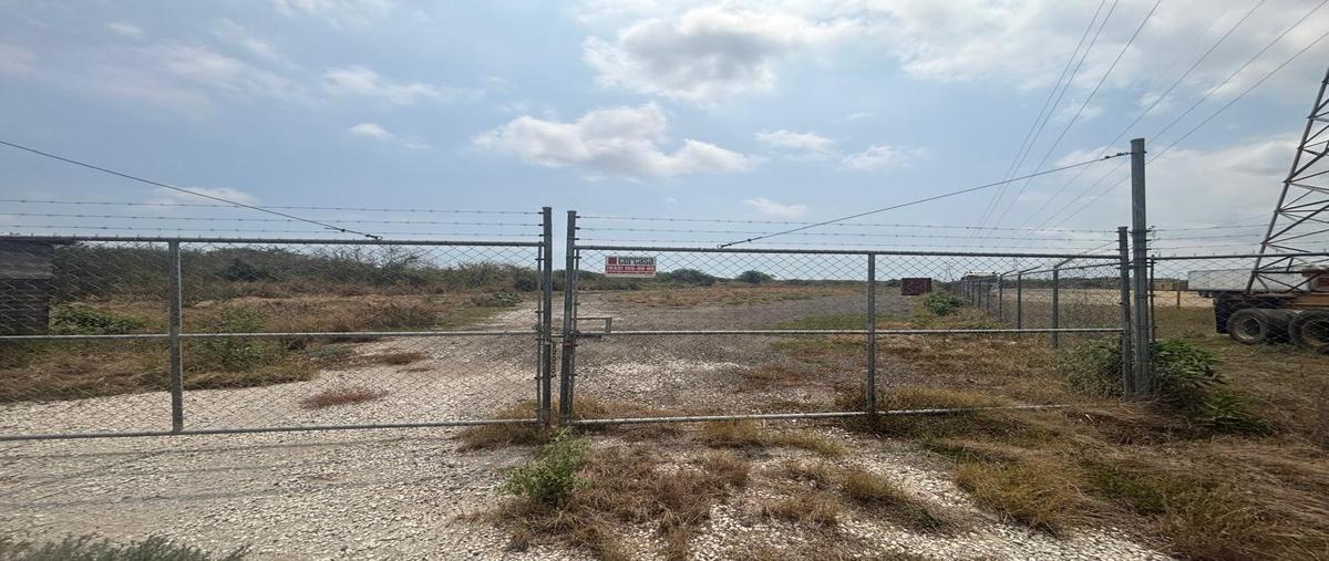 Foto de terreno habitacional en renta en  , altamira, altamira, tamaulipas, 0 No. 05