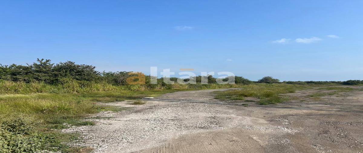 Foto de terreno habitacional en renta en  , altamira, altamira, tamaulipas, 31471283 No. 03
