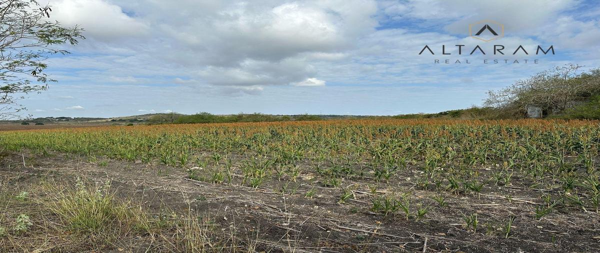 Foto de terreno habitacional en venta en  , altamira, altamira, tamaulipas, 0 No. 03