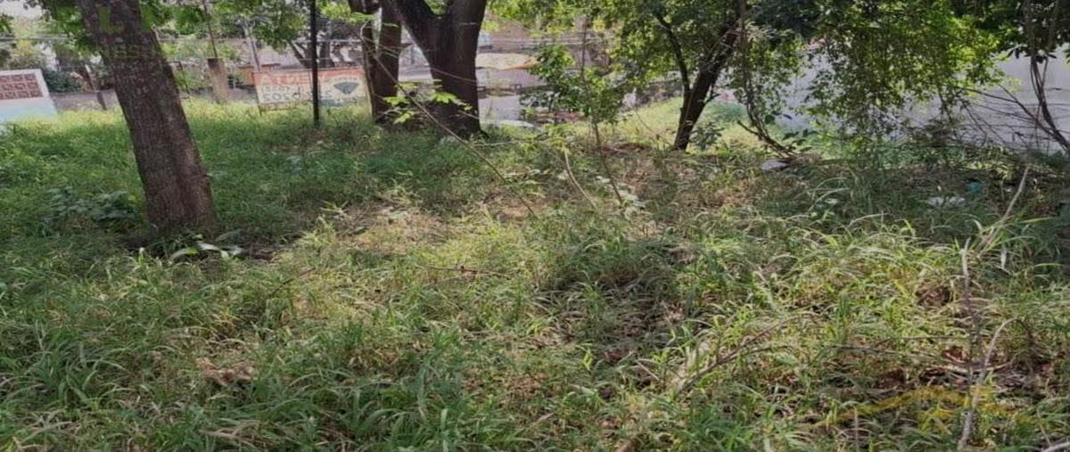 Foto de terreno habitacional en venta en  , altamira, altamira, tamaulipas, 0 No. 03