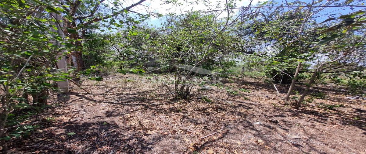 Foto de terreno habitacional en venta en  , altamira, altamira, tamaulipas, 0 No. 03