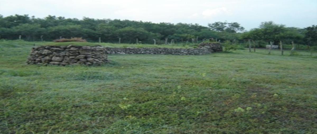 Foto de terreno habitacional en venta en  , altamira, altamira, tamaulipas, 7161642 No. 02