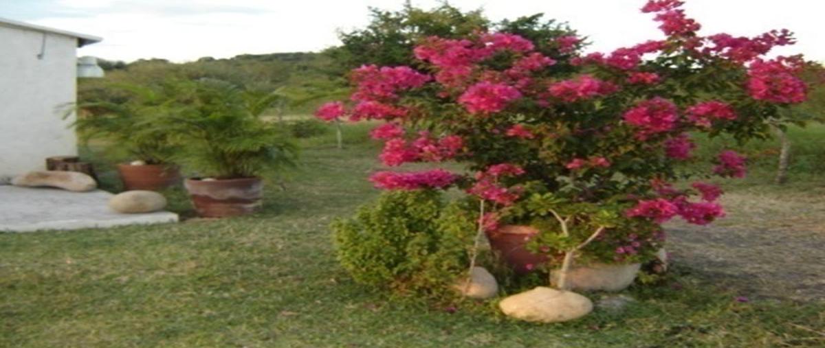 Foto de terreno habitacional en venta en  , altamira, altamira, tamaulipas, 7161642 No. 03