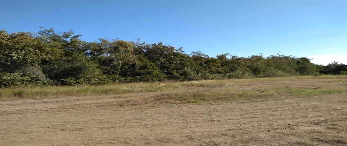 Foto de terreno habitacional en venta en  , altamira centro, altamira, tamaulipas, 17636336 No. 05