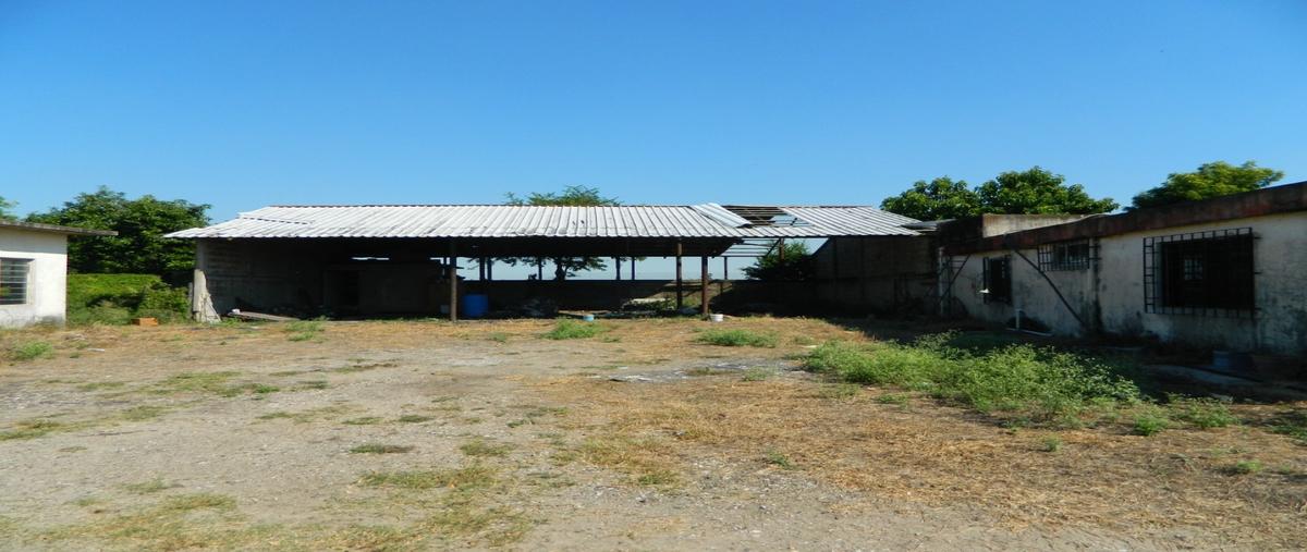 Foto de rancho en venta en  , altamira centro, altamira, tamaulipas, 0 No. 03