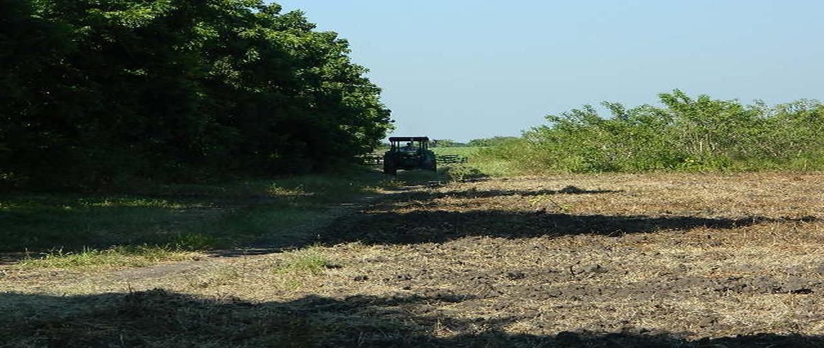 Foto de rancho en venta en  , altamira centro, altamira, tamaulipas, 0 No. 04