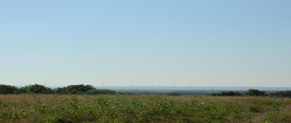 Foto de rancho en venta en  , altamira centro, altamira, tamaulipas, 0 No. 05