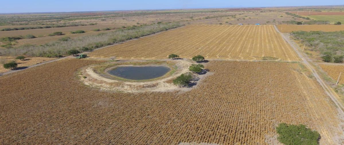 Foto de rancho en , altamira ii, altamira, tamaulipas, 0 foto 03 Foto de rancho en venta en , altamira ii, altamira, tamaulipas, 0 No. 03