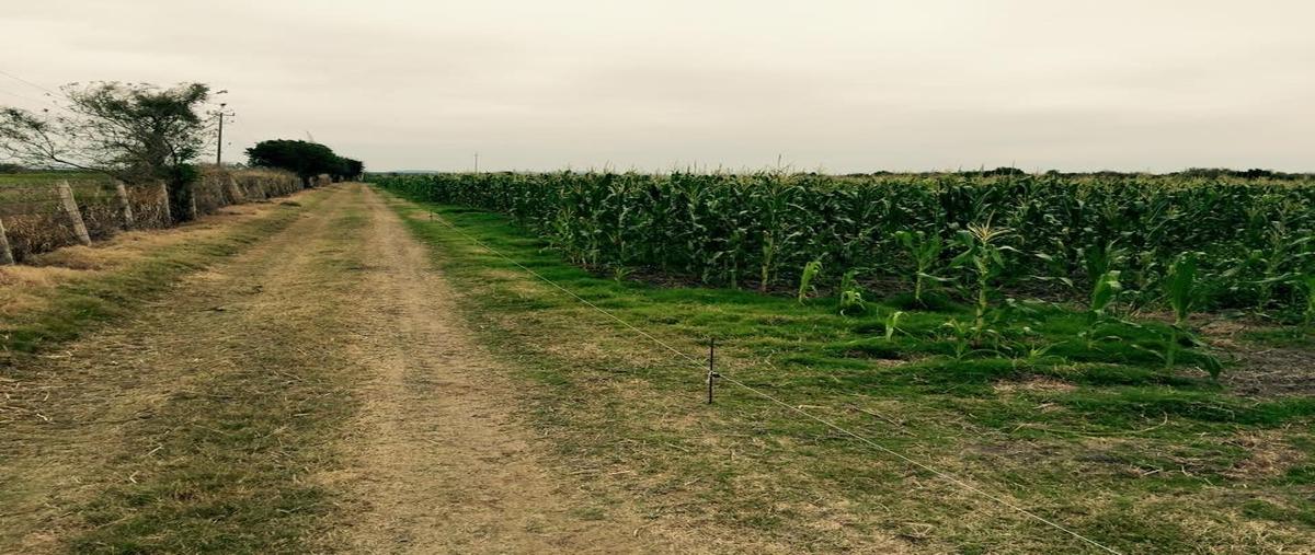 Foto de rancho en , altamira ii, altamira, tamaulipas, 0 foto 05 Foto de rancho en venta en , altamira ii, altamira, tamaulipas, 0 No. 05