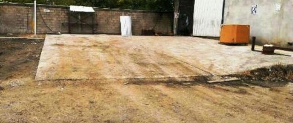 Foto de bodega en venta en  , altamira ii, altamira, tamaulipas, 7306627 No. 02