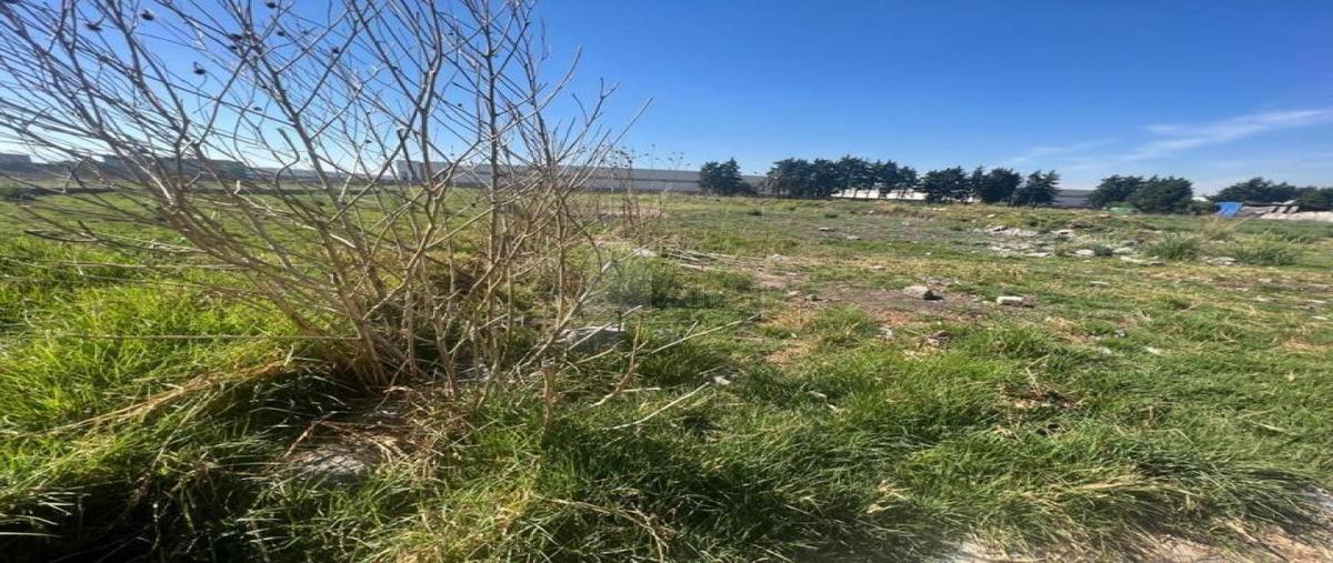 Foto de terreno habitacional en venta en altamirano 226, francisco i. madero, san mateo atenco, méxico, 0 No. 03