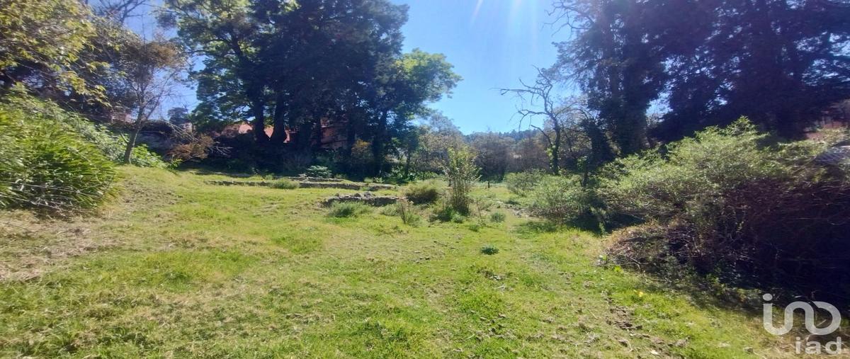 Foto de terreno habitacional en venta en altamirano , san ramón, mineral del monte, hidalgo, 0 No. 03