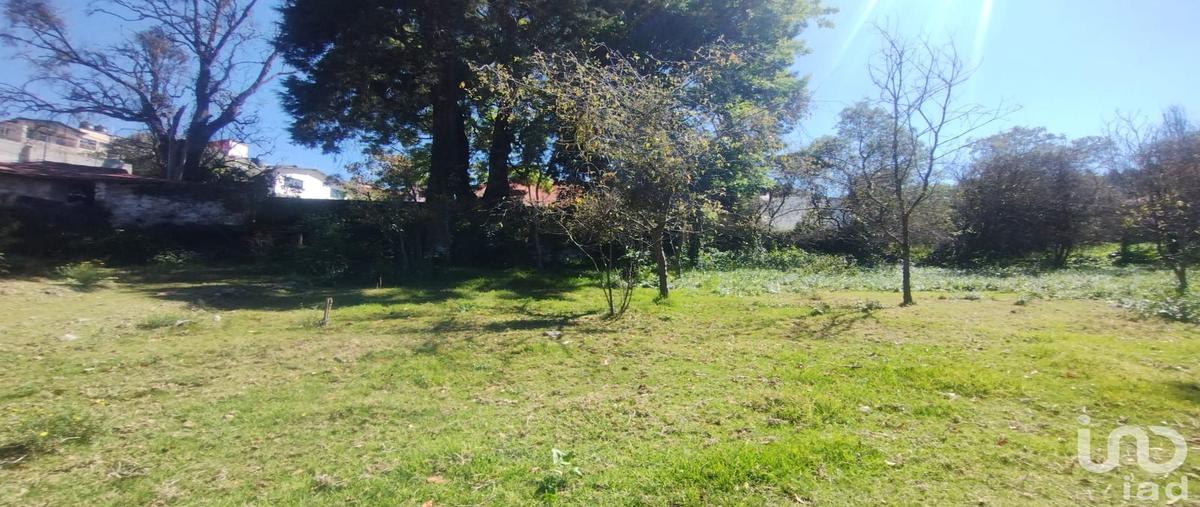 Foto de terreno habitacional en venta en altamirano , san ramón, mineral del monte, hidalgo, 0 No. 05