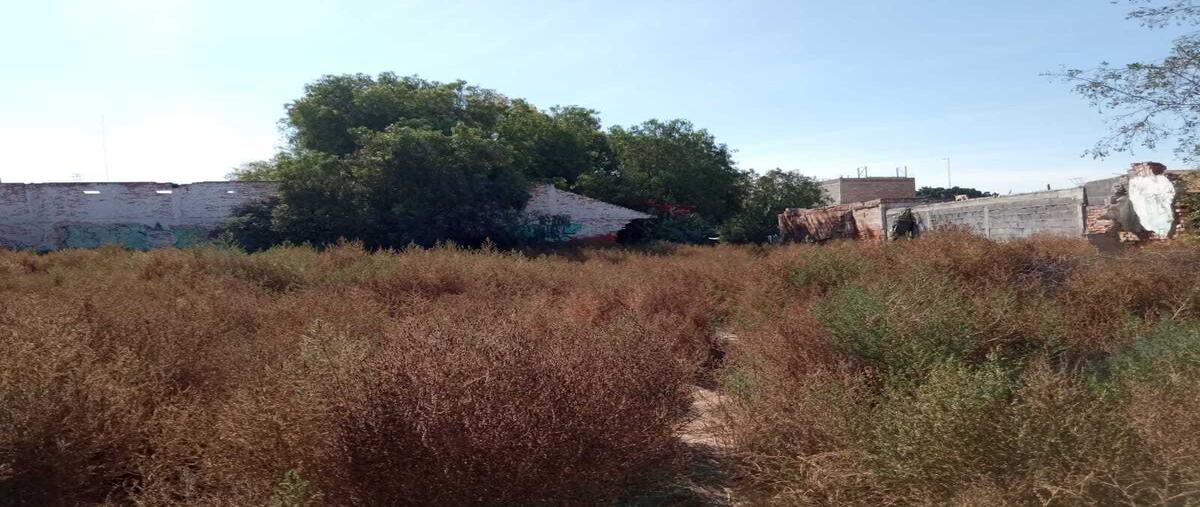 Foto de terreno habitacional en renta en altamirano (tlaxcala) , tlaxcala, san luis potosí, san luis potosí, 0 No. 04