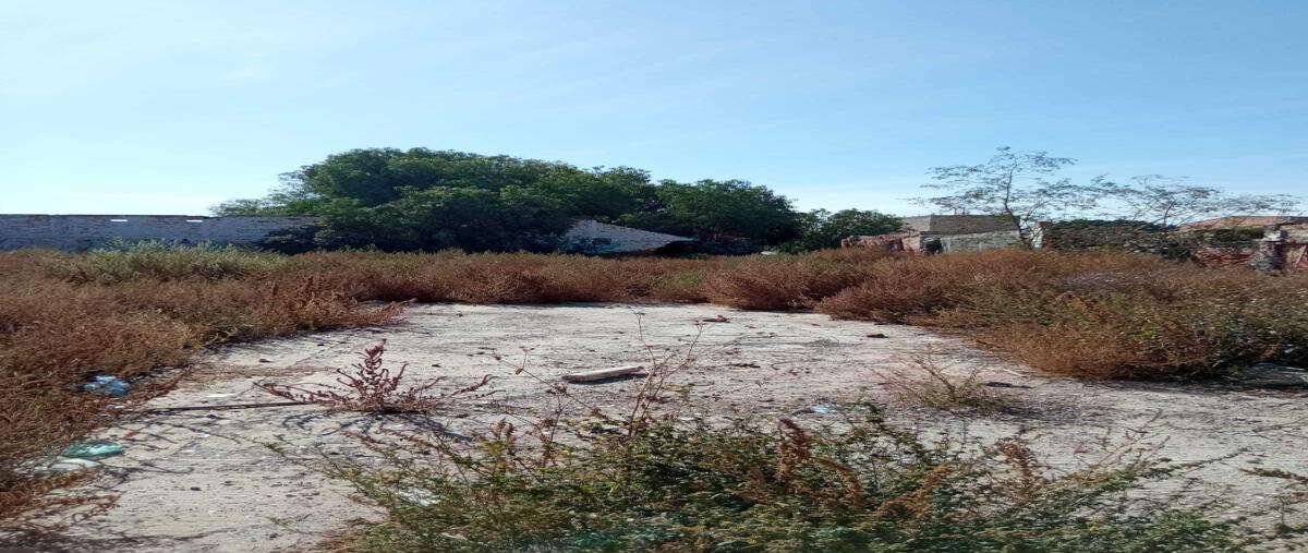 Foto de terreno habitacional en renta en altamirano (tlaxcala) , tlaxcala, san luis potosí, san luis potosí, 0 No. 05