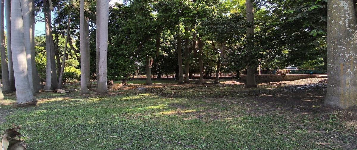 Foto de casa en venta en altamirano , xochitepec centro, xochitepec, morelos, 0 No. 05