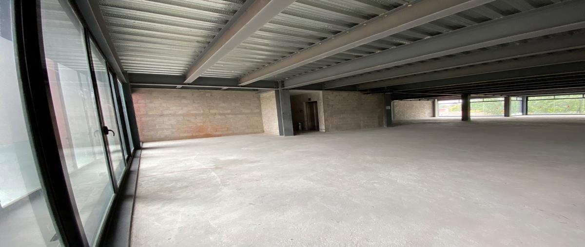 Foto de edificio en renta en  , altavista, álvaro obregón, df / cdmx, 26243789 No. 05