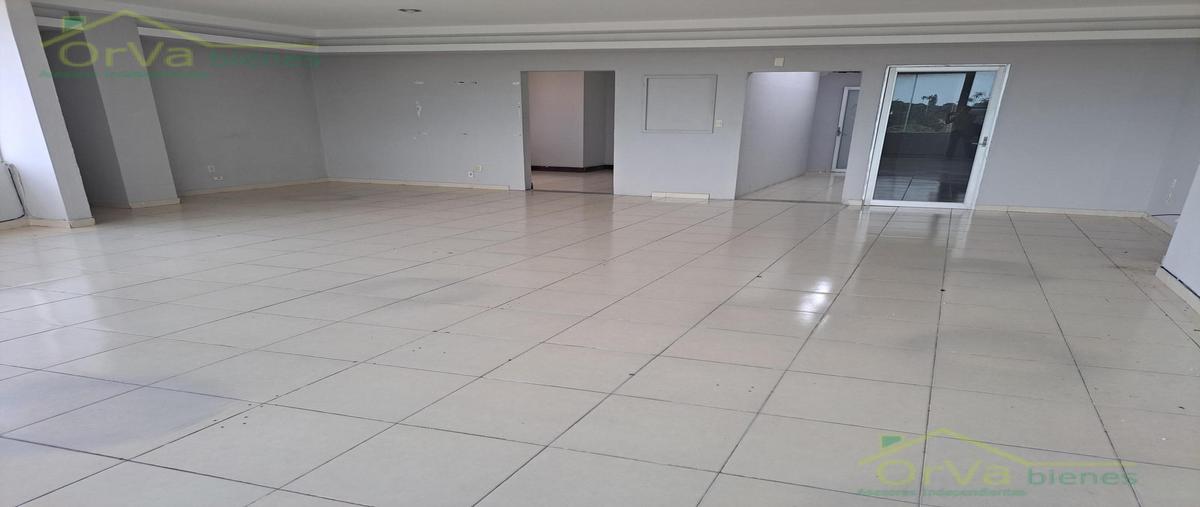 Foto de oficina en renta en  , altavista, tampico, tamaulipas, 0 No. 05