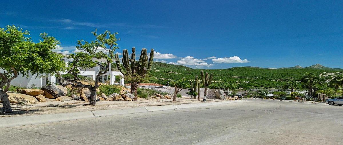 Foto de terreno habitacional en venta en altillo ocean crest , la playita, los cabos, baja california sur, 0 No. 05