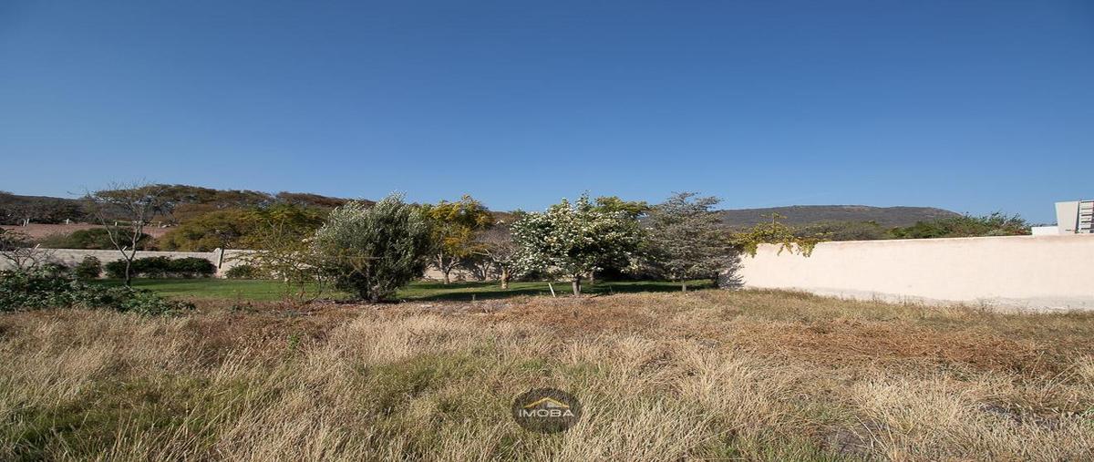 Foto de terreno habitacional en , altozano el nuevo querétaro, querétaro, querétaro, 31255179 foto 04 Foto de terreno habitacional en venta en , altozano el nuevo querétaro, querétaro, querétaro, 31255179 No. 04