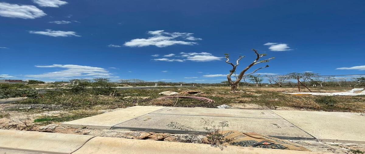 Foto de terreno habitacional en venta en alura , cholul, mérida, yucatán, 0 No. 04