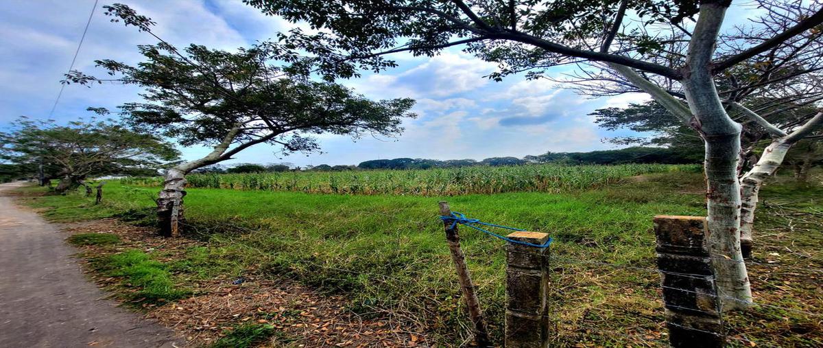 Foto de terreno habitacional en , alvarado centro, alvarado, veracruz de ignacio de la llave, 0 foto 02 Foto de terreno habitacional en venta en , alvarado centro, alvarado, veracruz de ignacio de la llave, 0 No. 02