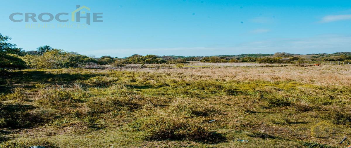 Foto de terreno habitacional en venta en  , alvarado centro, alvarado, veracruz de ignacio de la llave, 0 No. 04