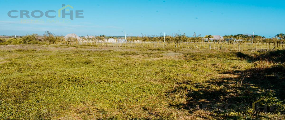 Foto de terreno habitacional en venta en  , alvarado centro, alvarado, veracruz de ignacio de la llave, 0 No. 05